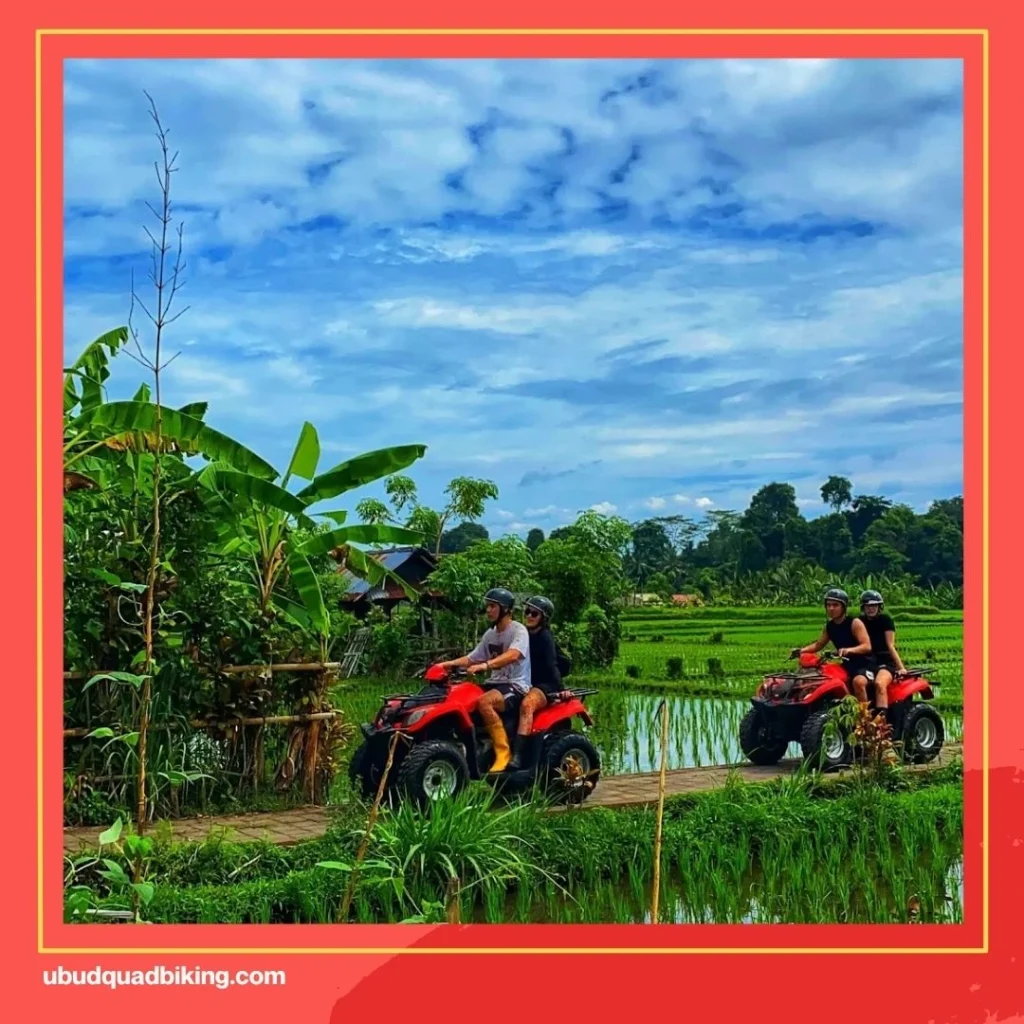 ATV Driving Bali