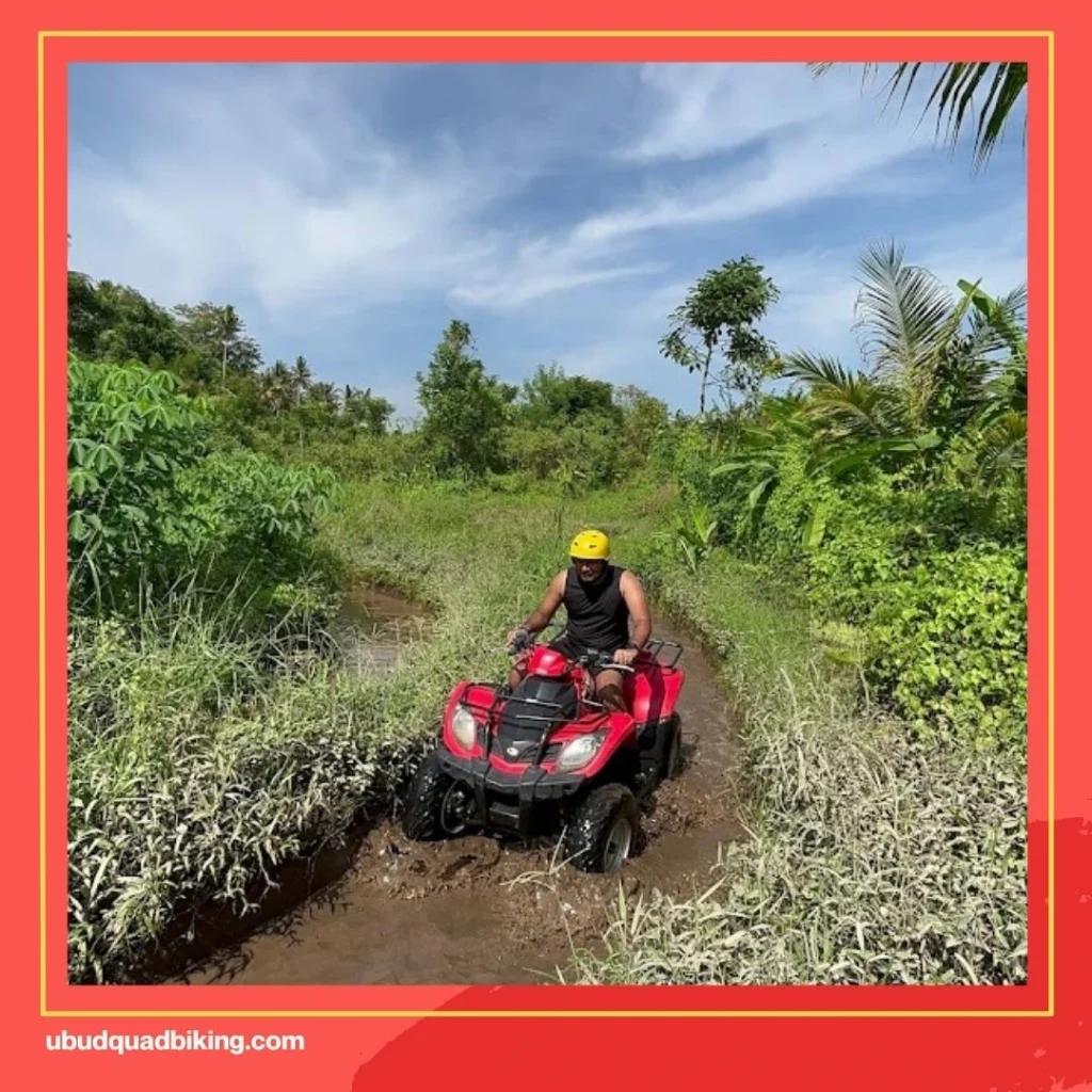 Bali Top ATV