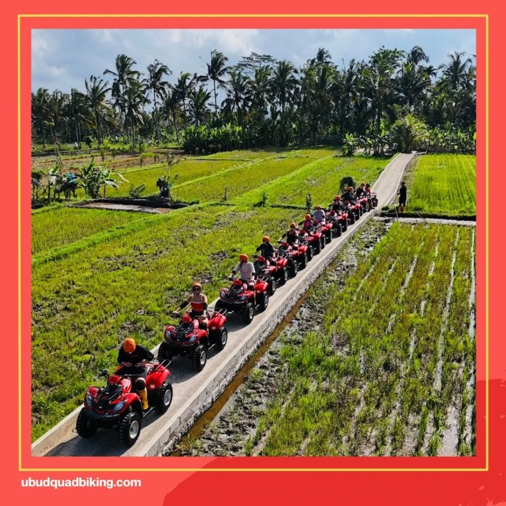 Gorilla ATV Bali