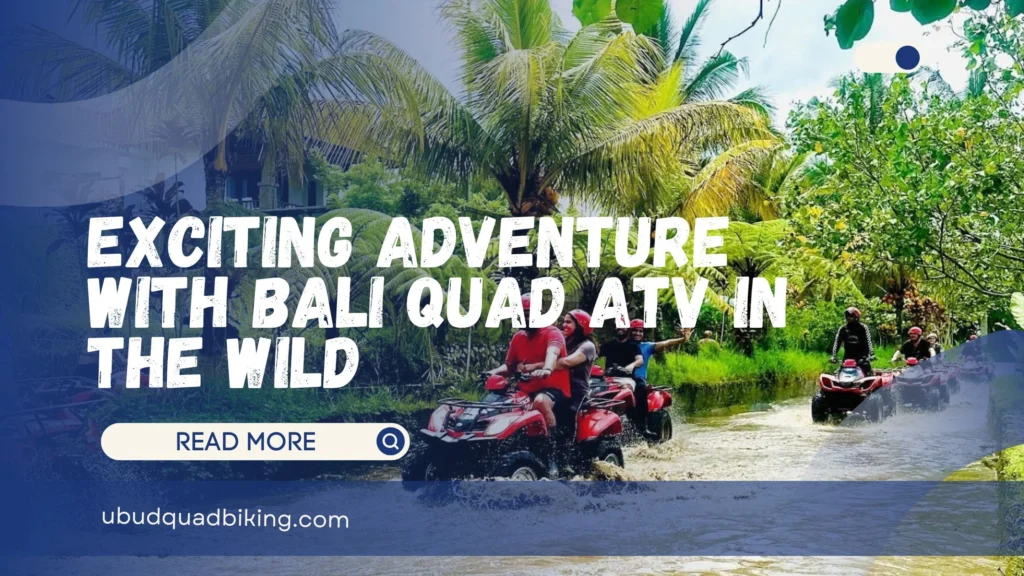 Bali Quad ATV