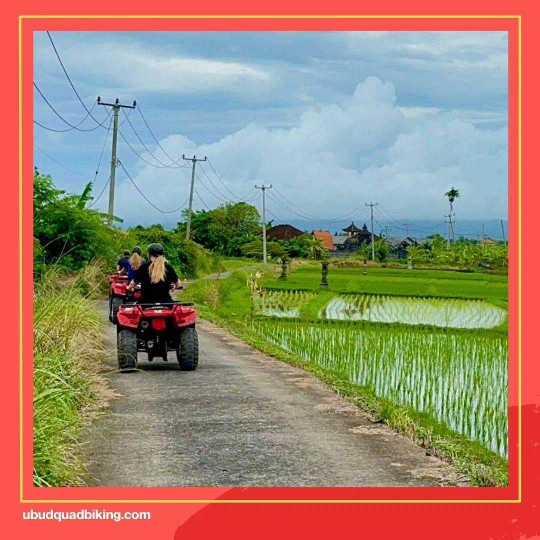 Bali ATV Quadbiking