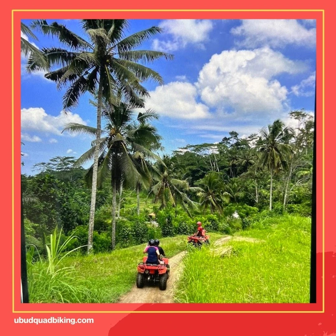 Tarantula ATV Bali!