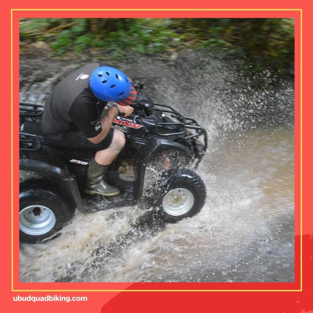 Taro ATV Bali