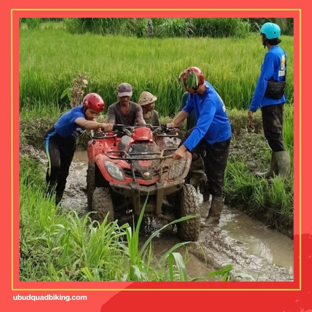 Dadi Bali ATV
