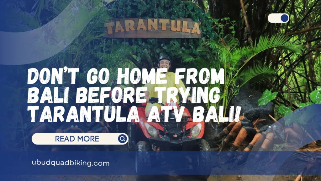 Tarantula ATV Bali!