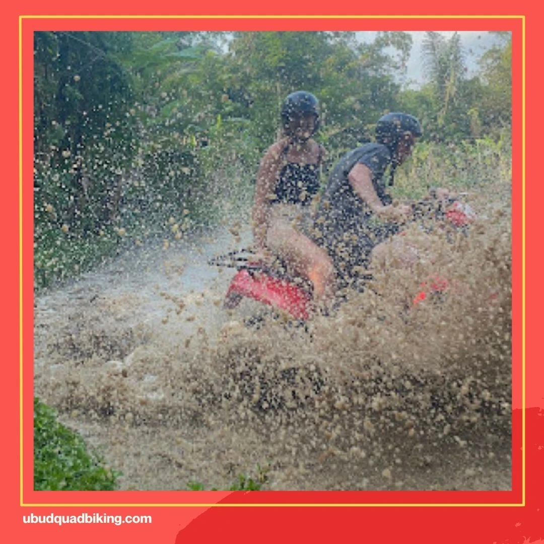 Bali Tarantula ATV, Badung Regency Reviews