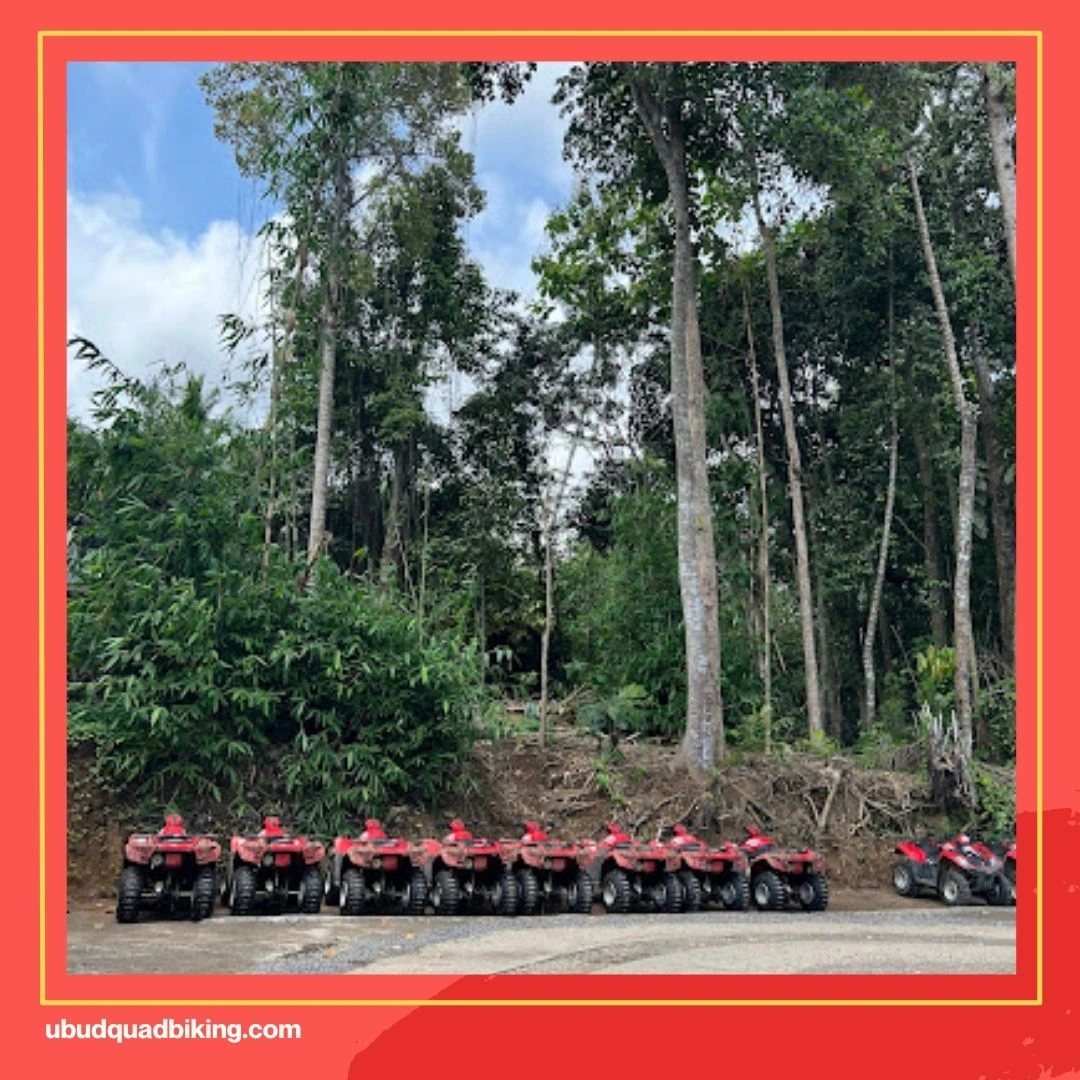 Bali Tarantula ATV, Badung Regency Reviews