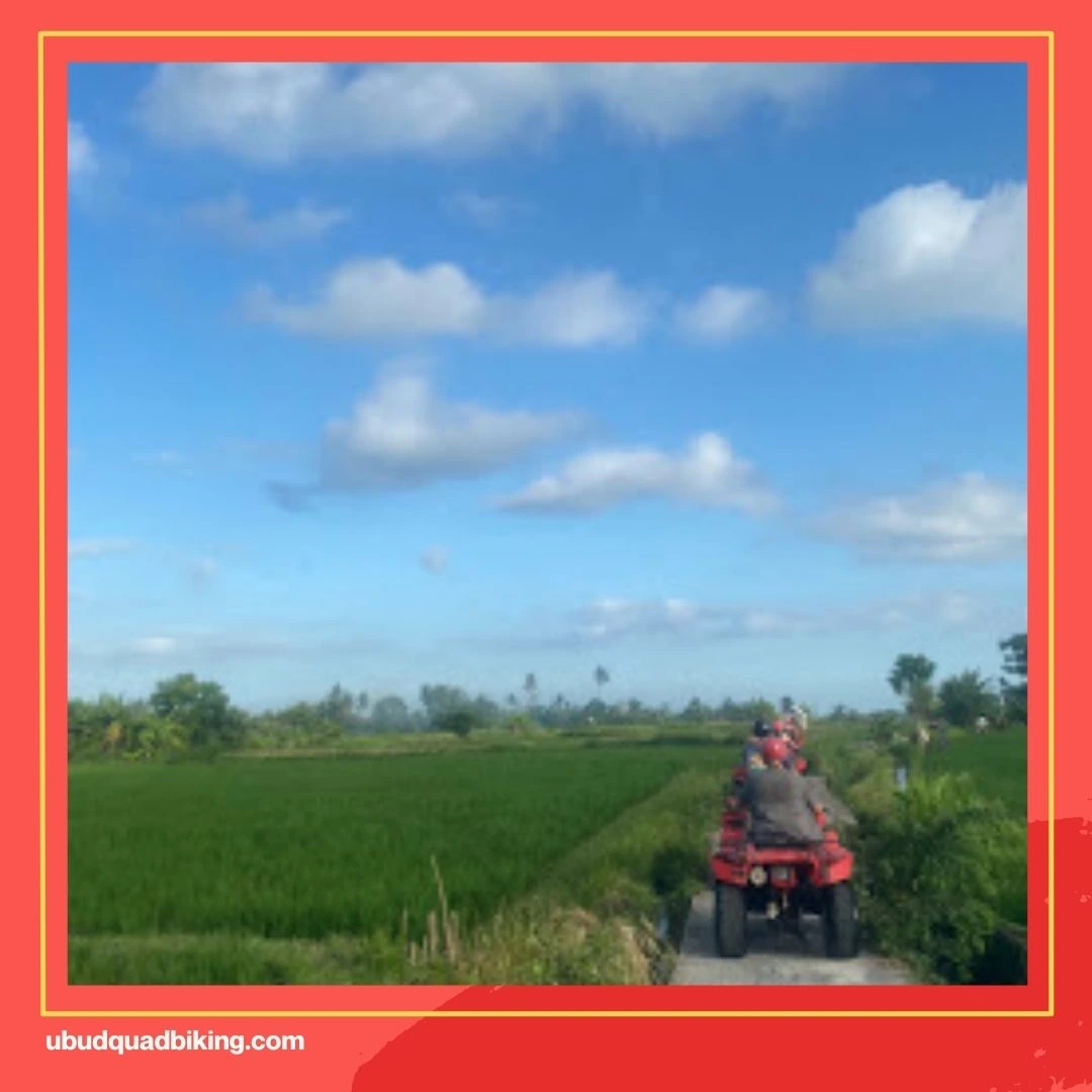 ATV Green Bali Adventure, Singapadu Kaler, Gianyar Regency