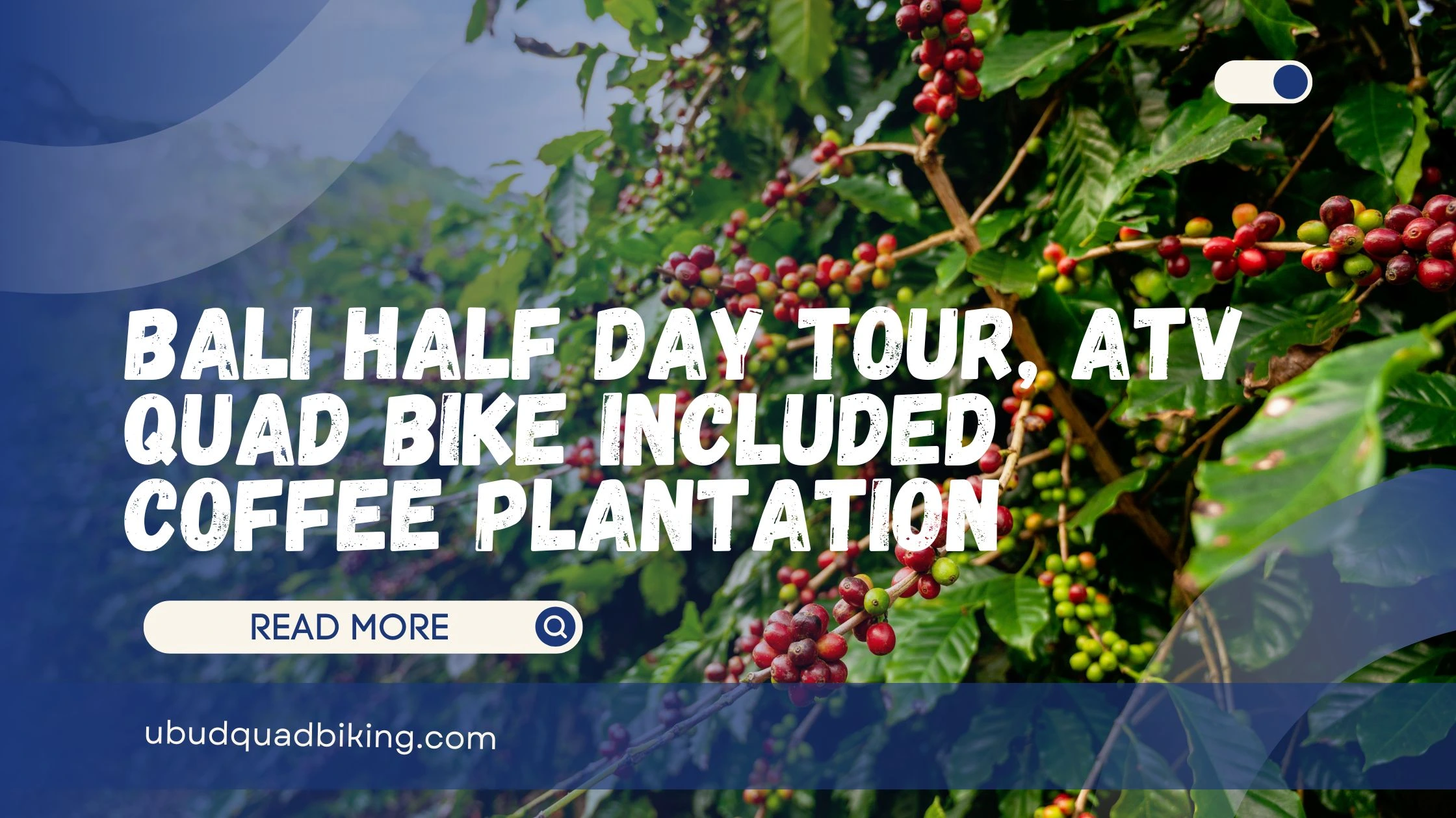 Bali Half Day Tour, ATV Quad Bike Included Coffee Plantation
