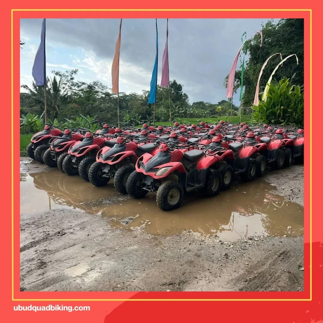 Alamelu Bali ATV (quad bike), Payangan District