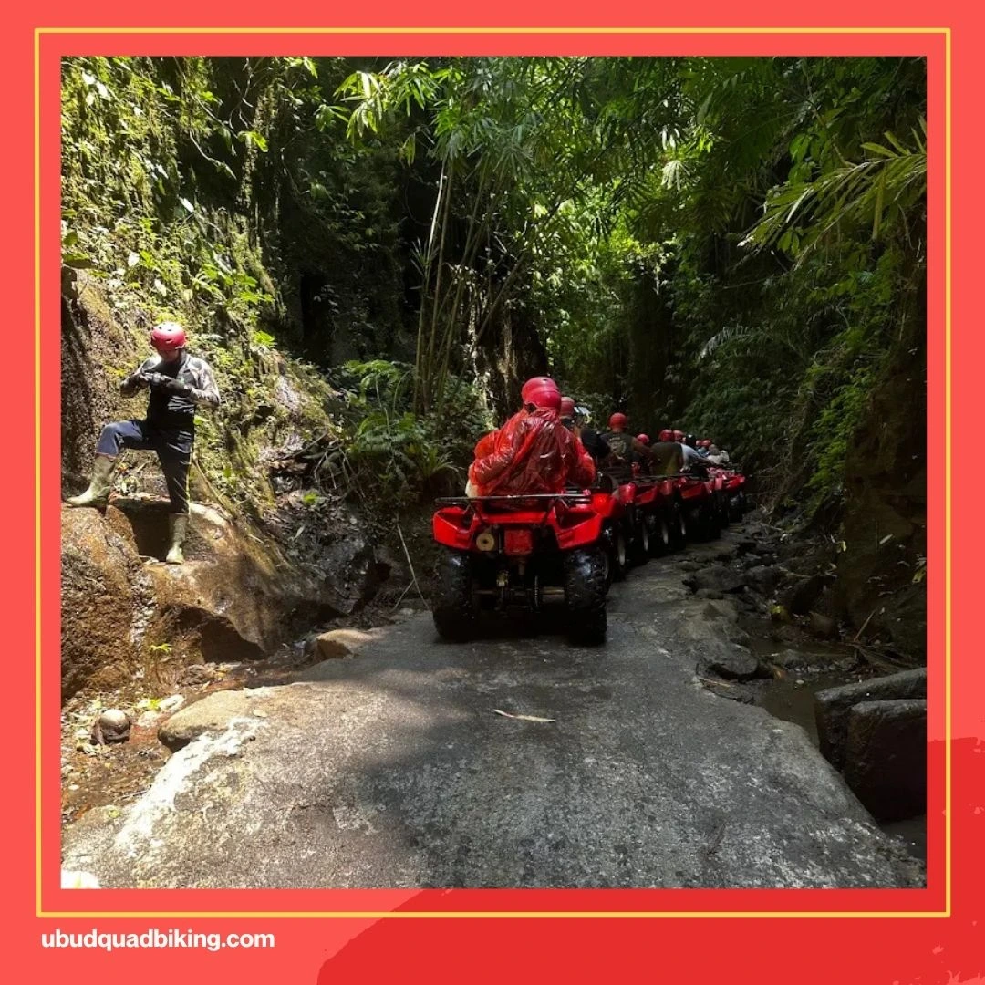 Kuber ATV Bali Reviews