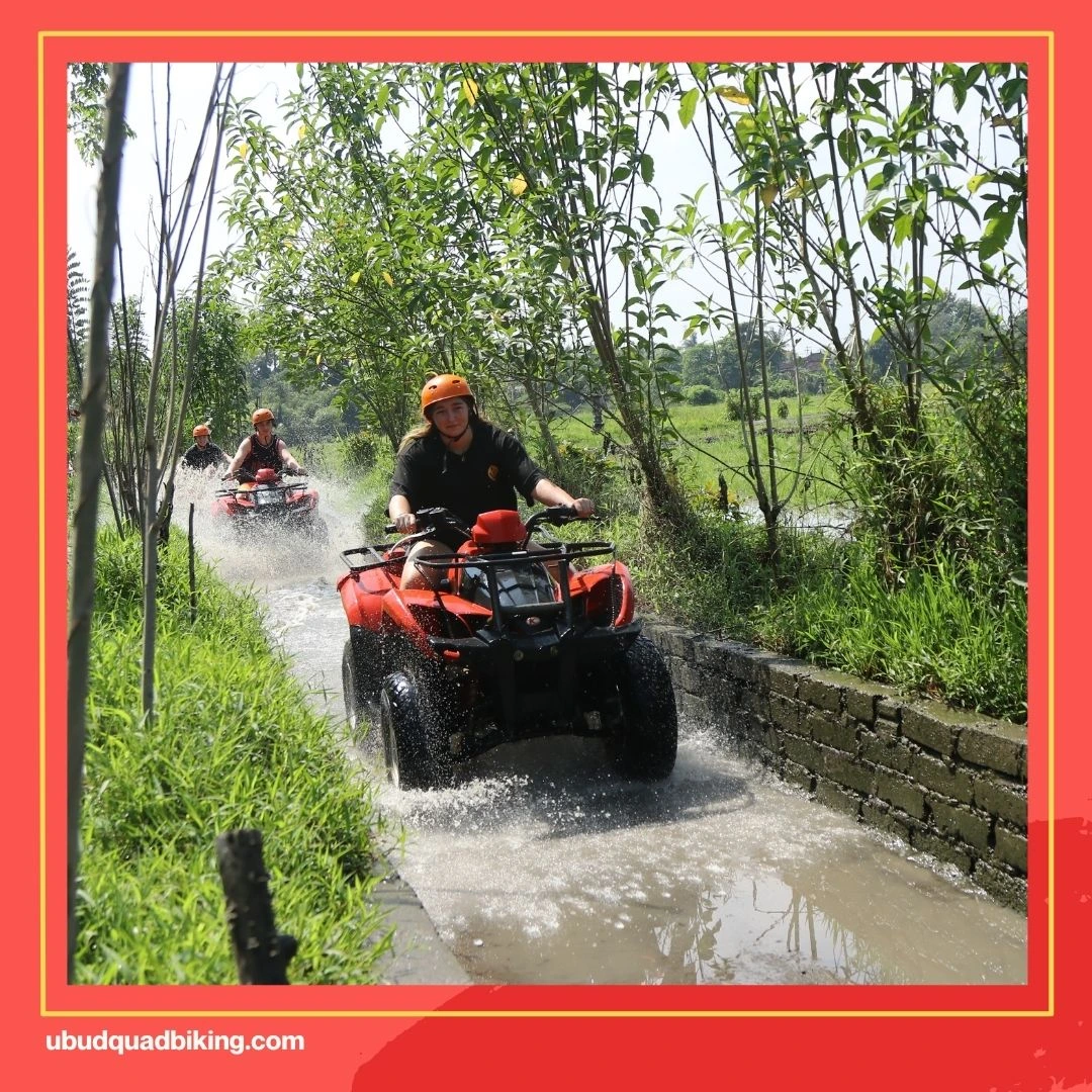 Bali Quad Bikes - ATV Quad Bike Ubud Bali