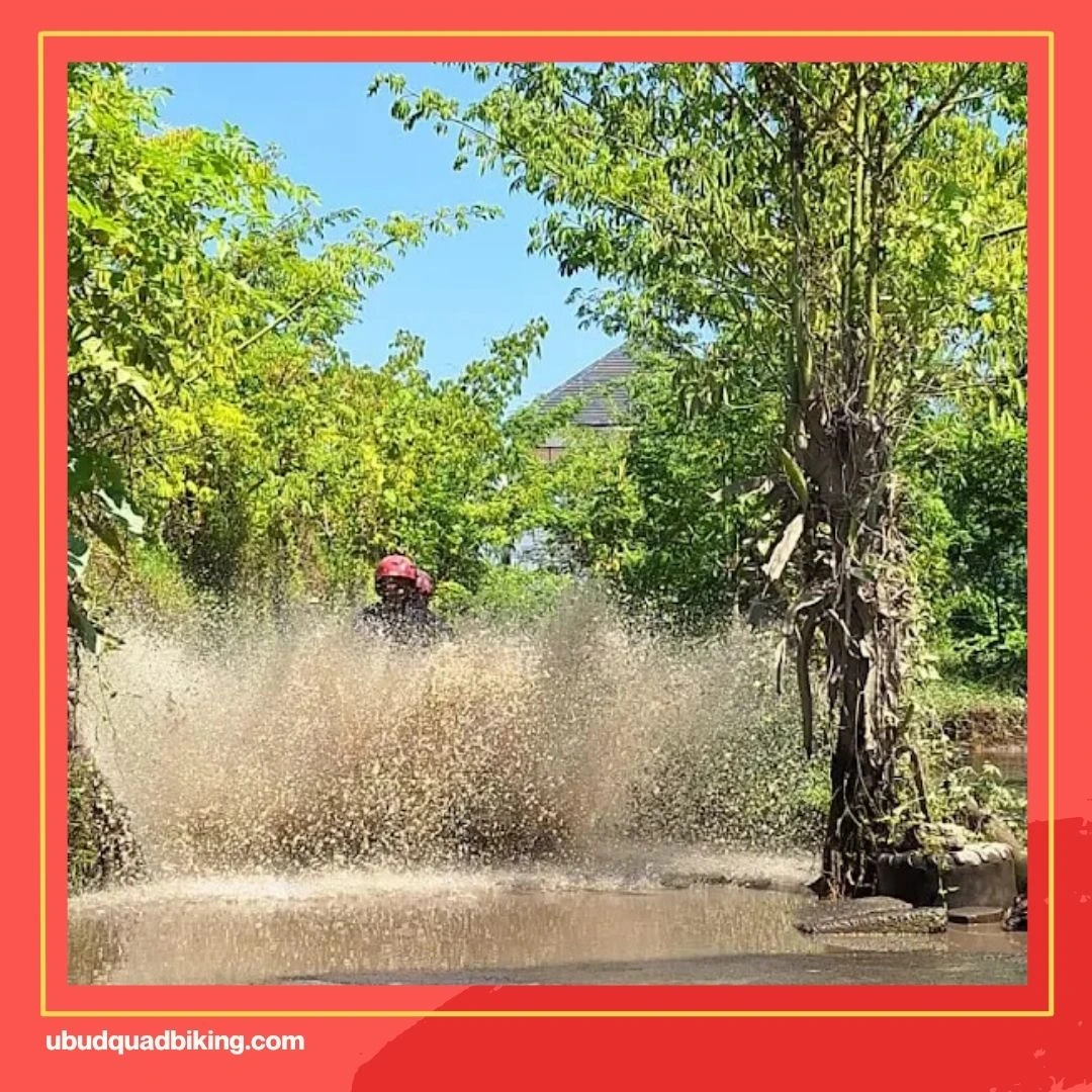 Go ATV Adventure Bali Reviews
