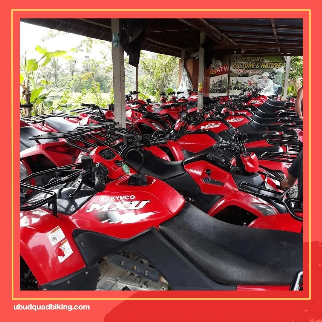 Go ATV Adventure Bali Reviews