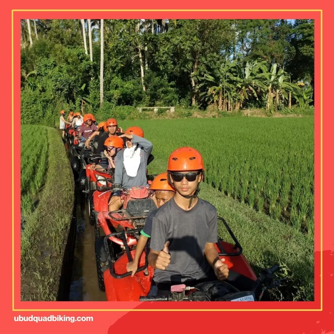 ATV Green Bali Adventure Reviews