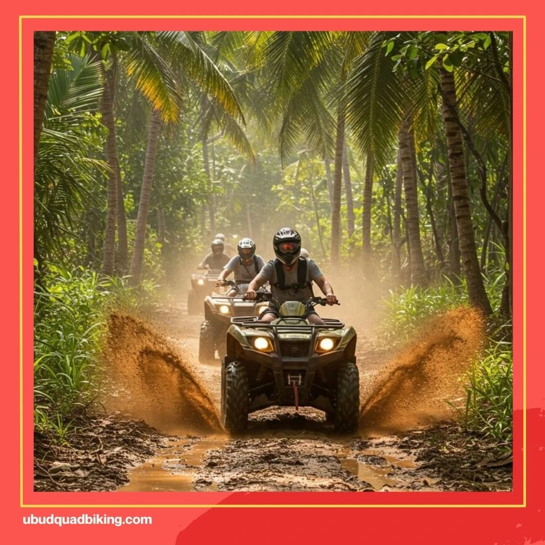 Bali Sunset ATV Adventure