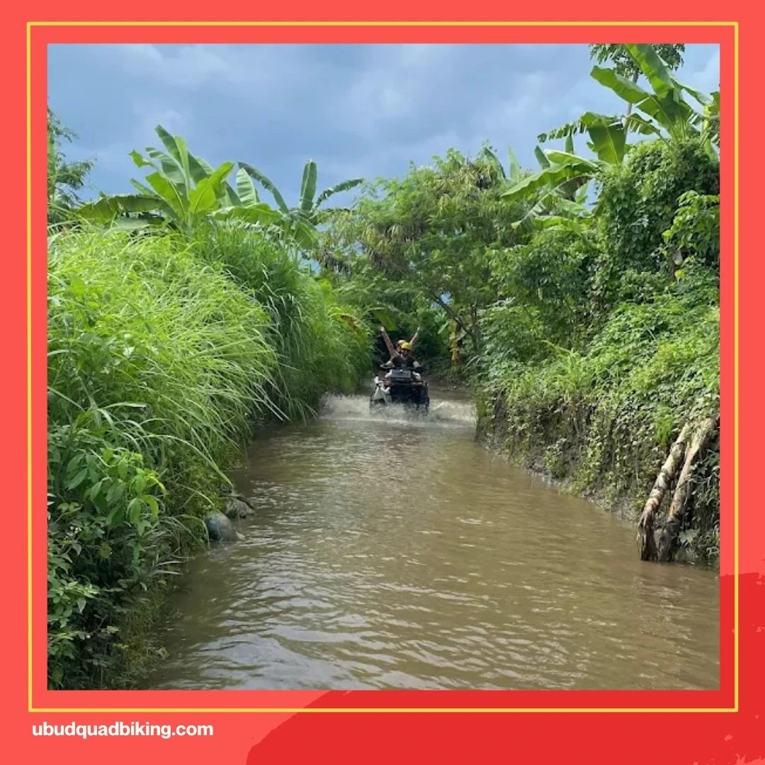 ATV Ubud Bali Reviews