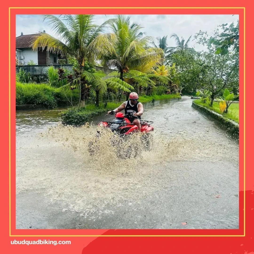 Bali ATV Quad Reviews