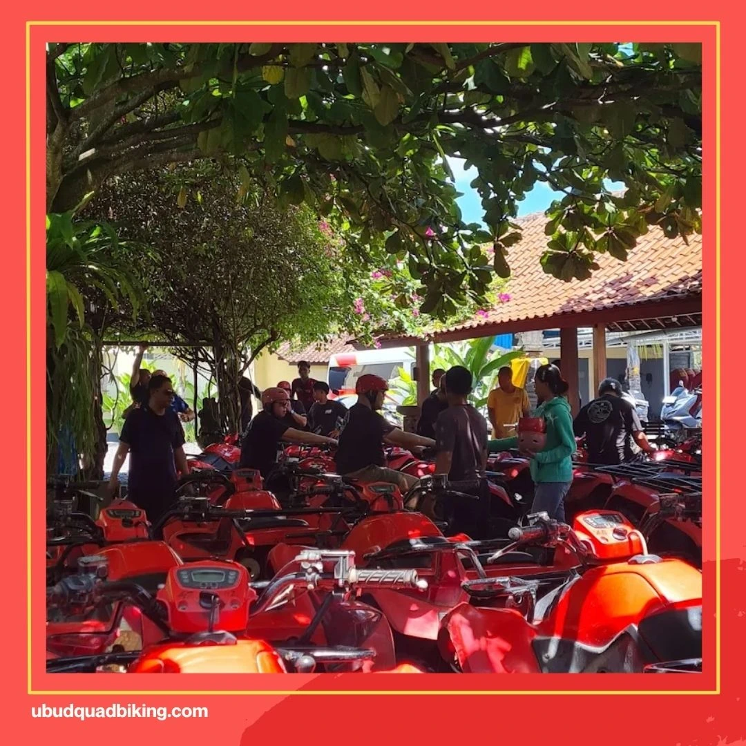 Bali Go ATV Adventure