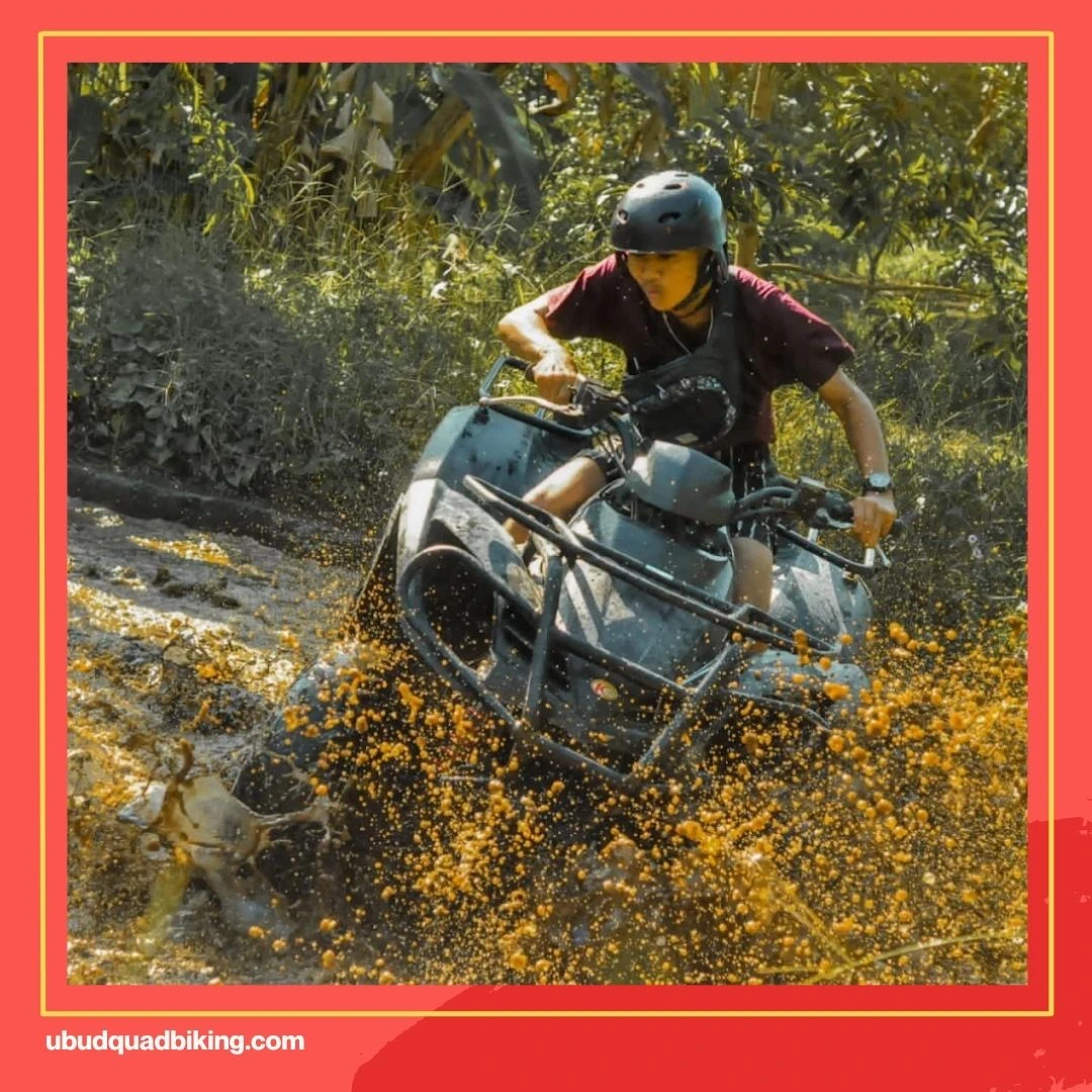 Bali ATV Quadbike Adventure Reviews