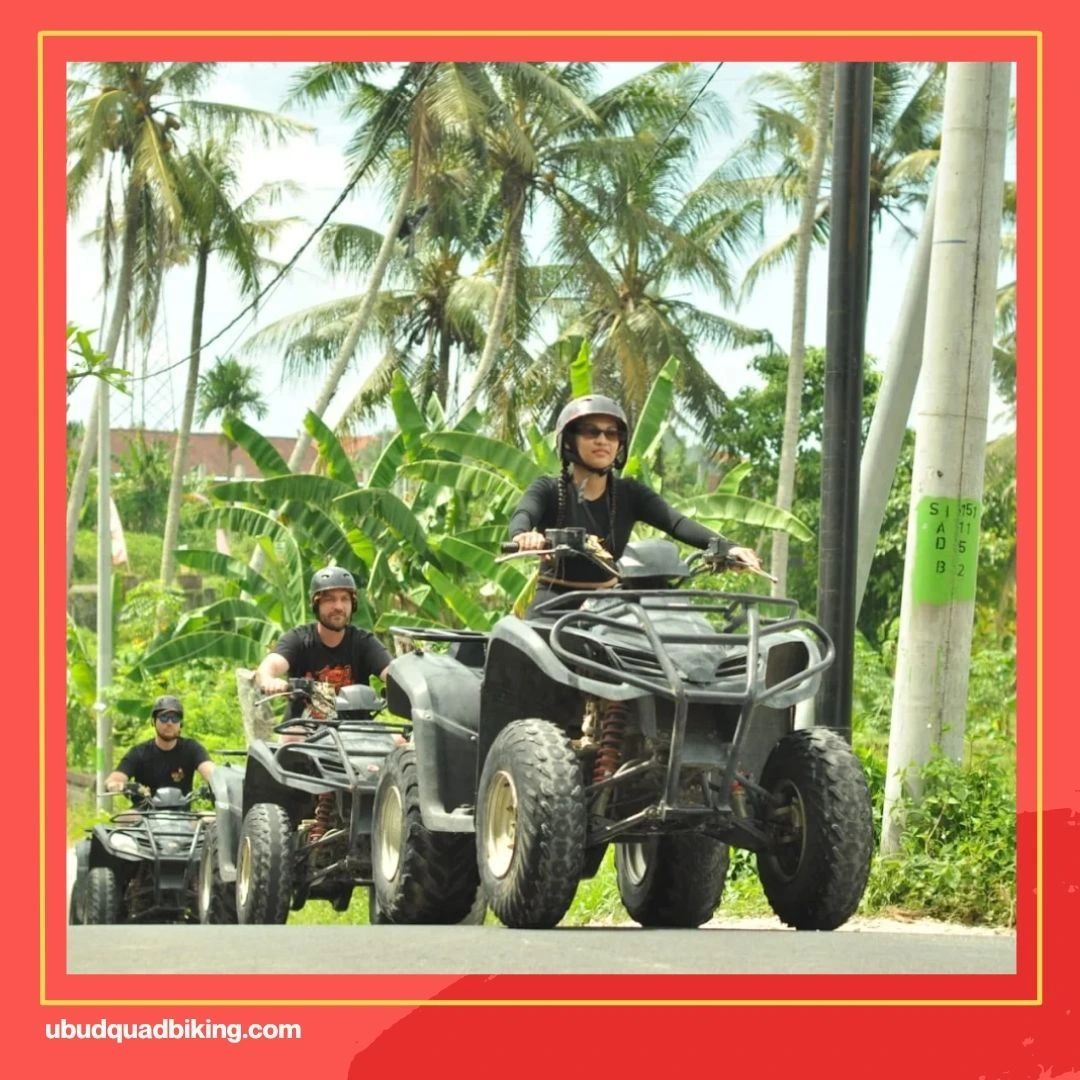 Bali ATV Quadbike Adventure Reviews