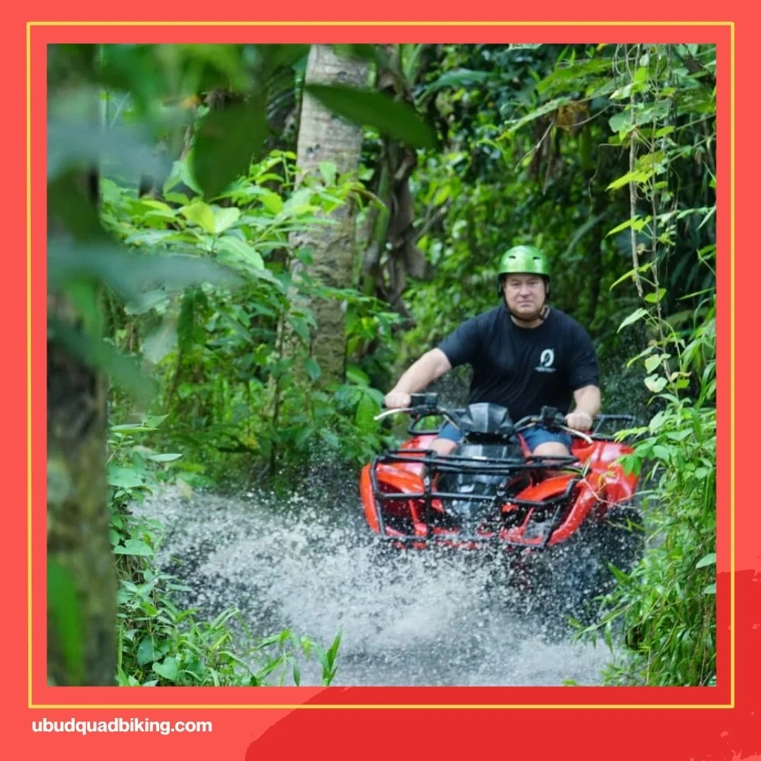 Bali ATV Quadbike Adventure Reviews