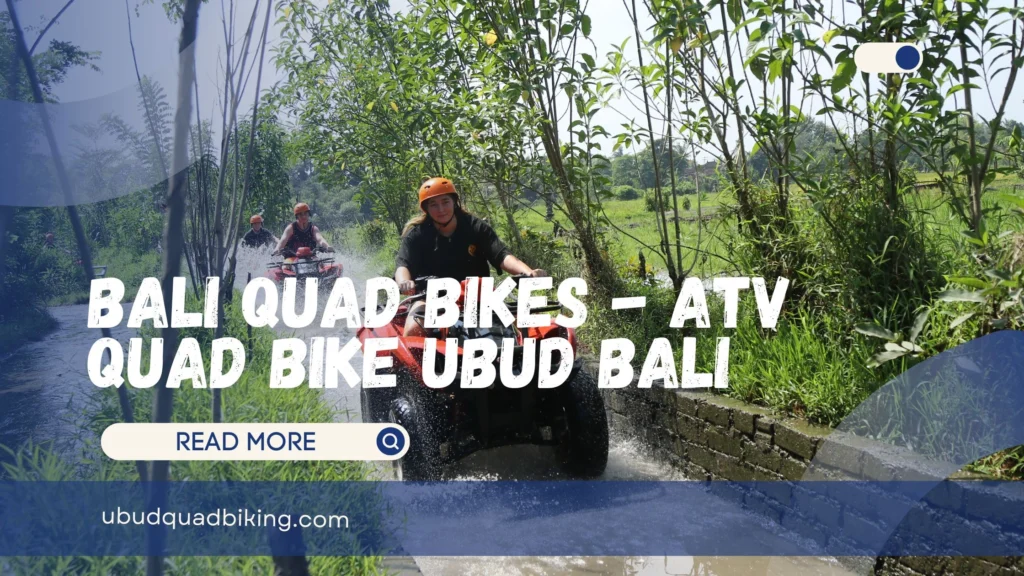 Bali Quad Bikes - ATV Quad Bike Ubud Bali