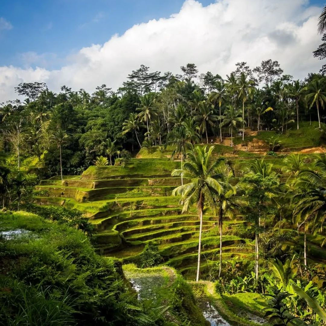 ATV Rental Prices in Bali
