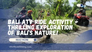 Bali ATV Ride Activity