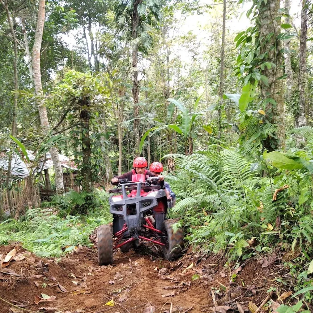 Bali ATV