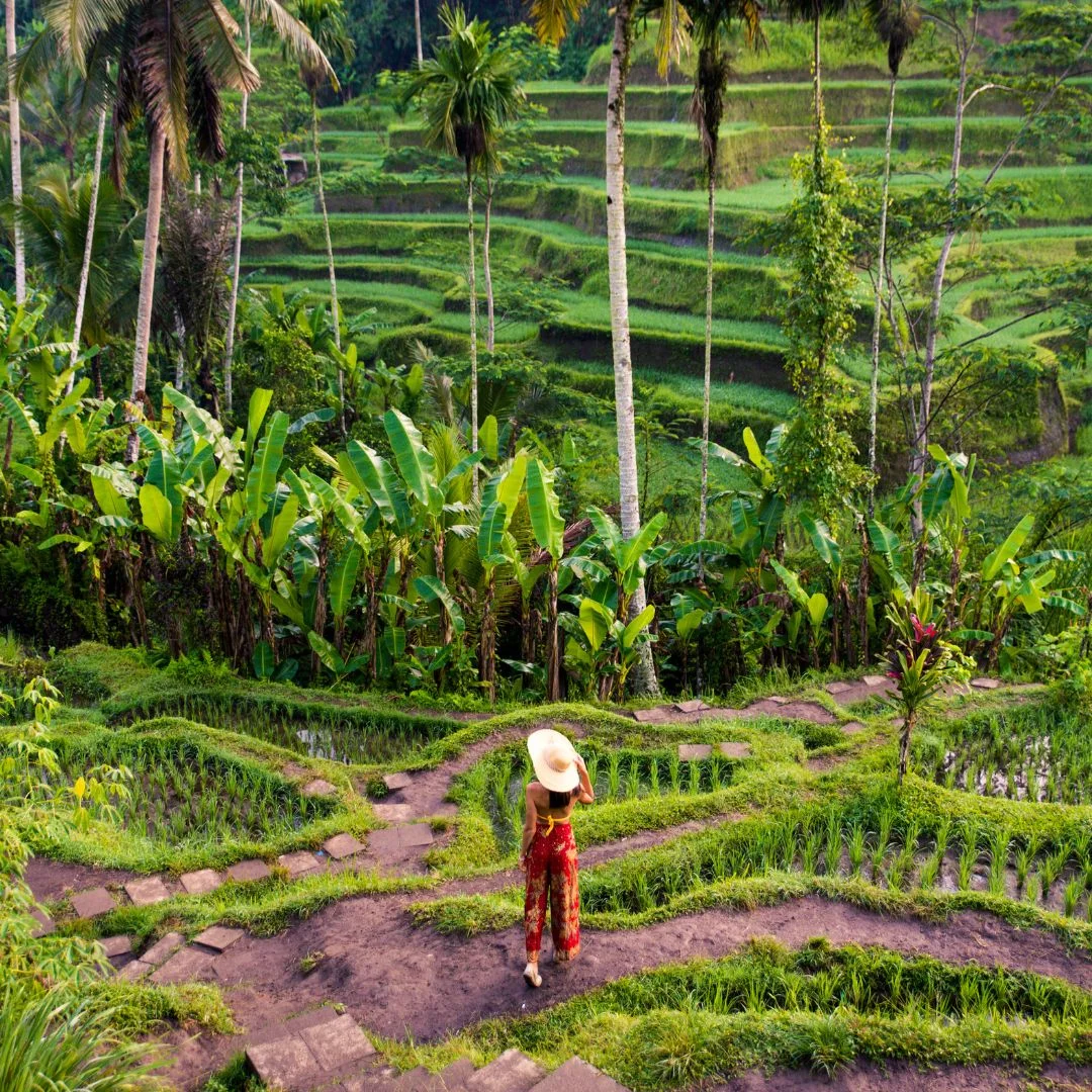 ATV Tracks in Bali