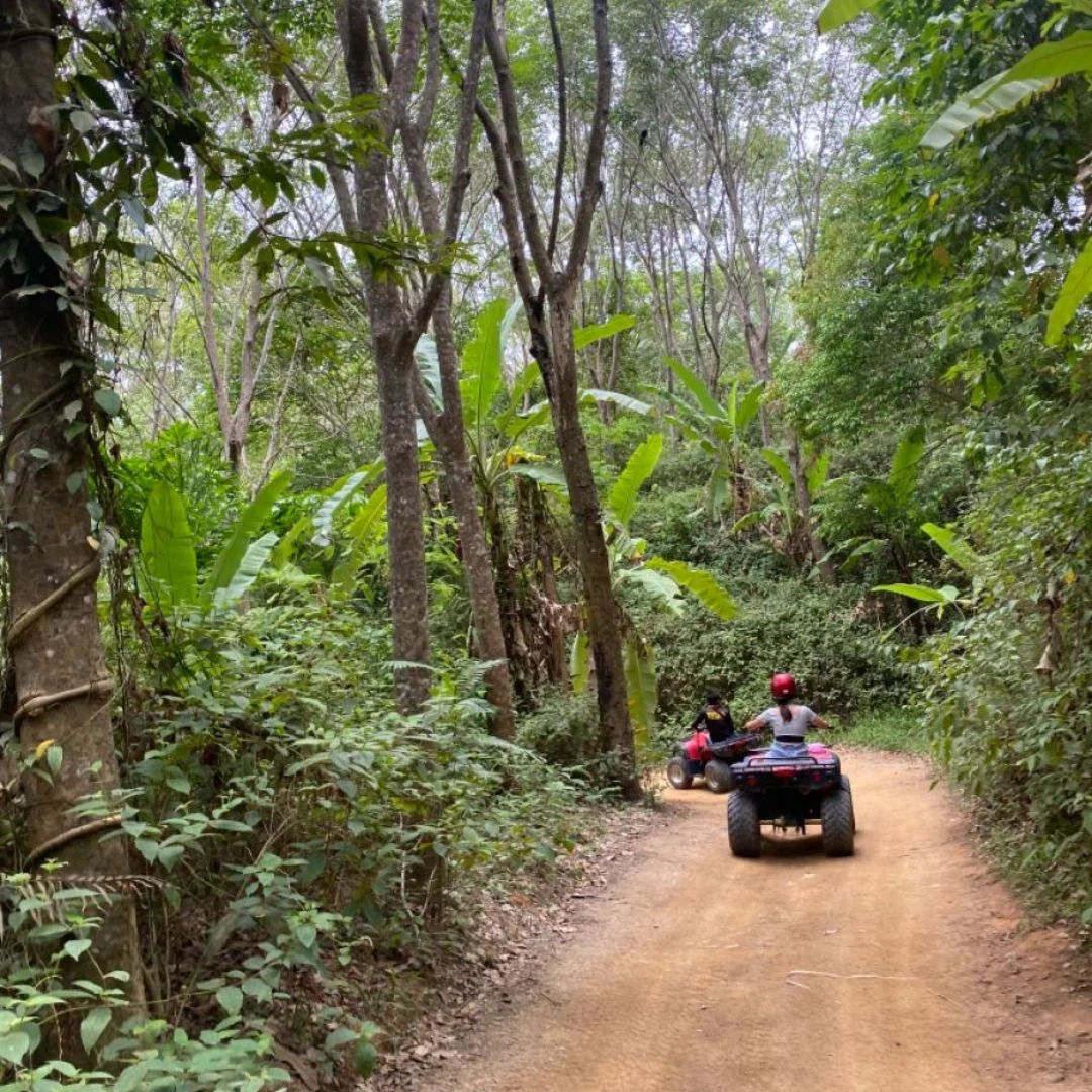 ATV Jungle Bali