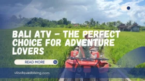 Bali ATV