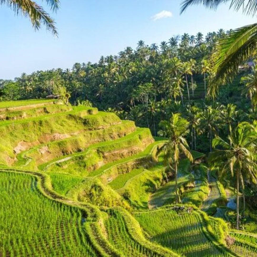 ATV Adventure in Ubud Bali