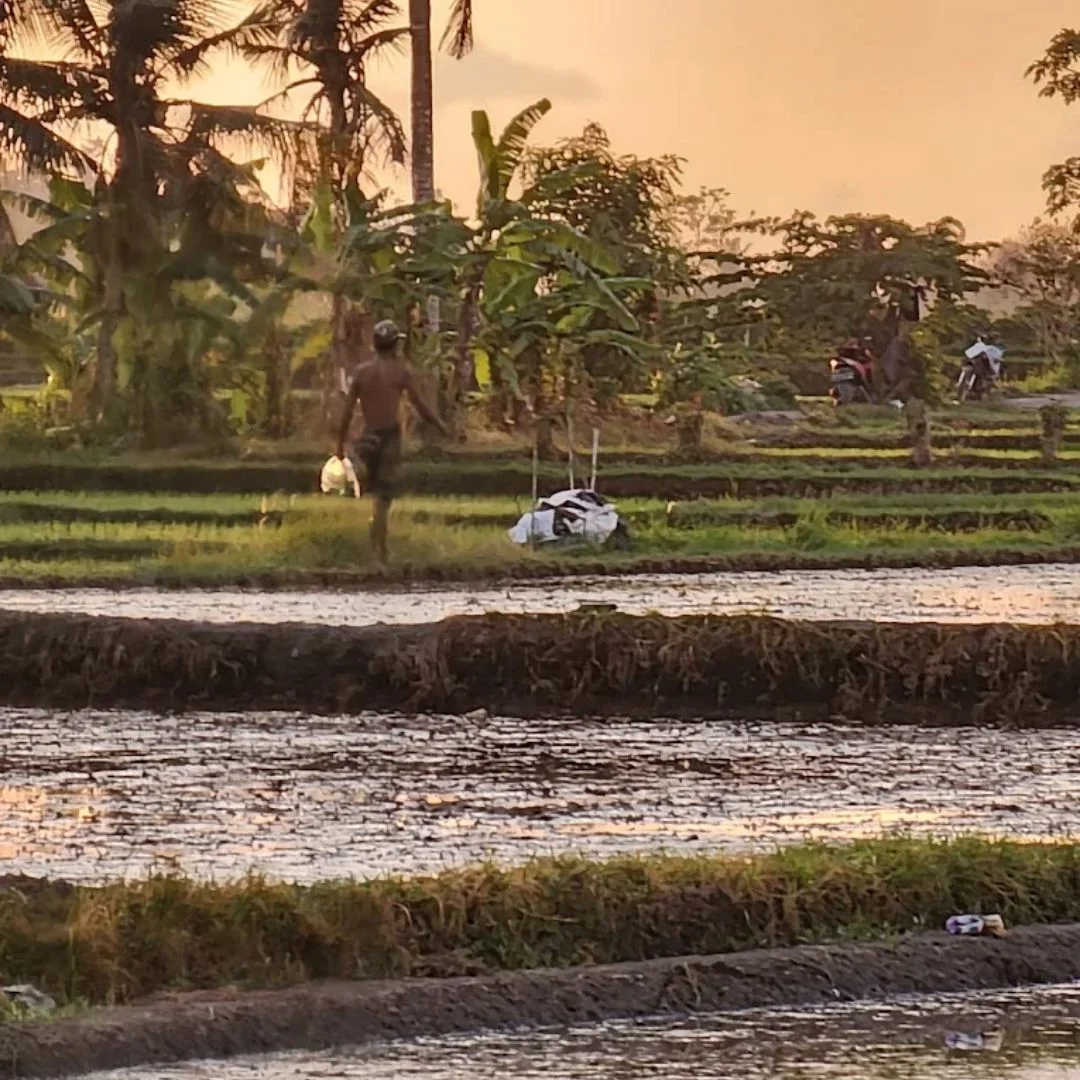 ATV Adventure in Ubud Bali