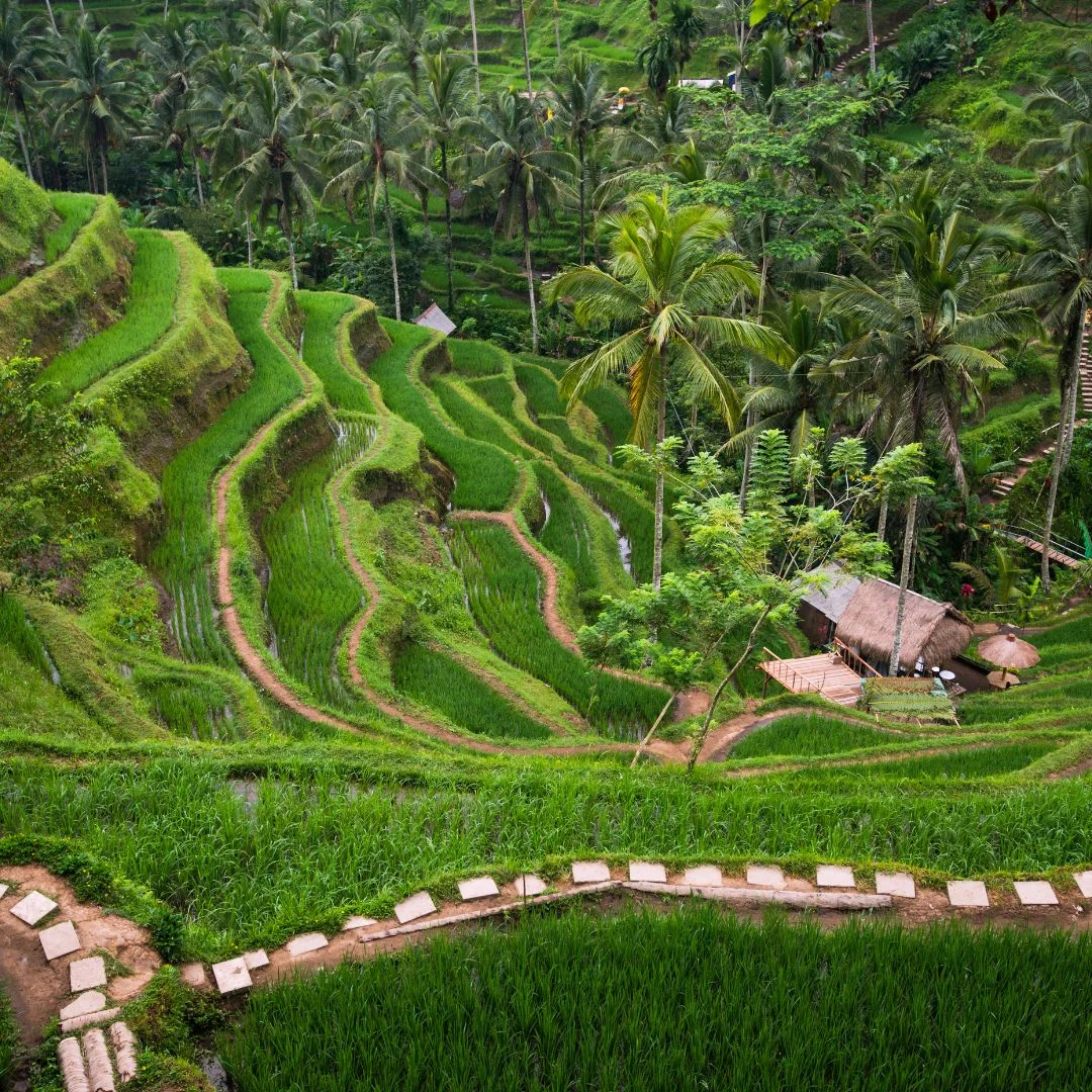 Bali ATV Ride Adventure