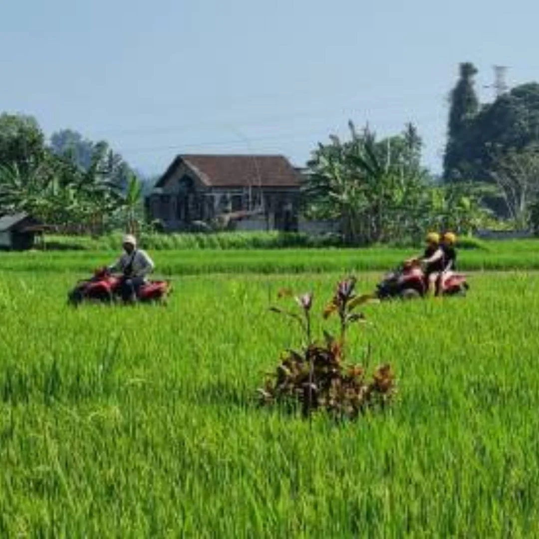ATV Adventures Bali