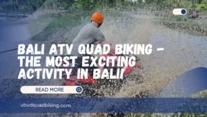 Bali ATV Quad Biking