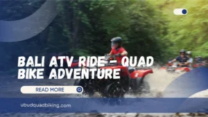 Bali ATV Ride - Quad Bike Adventure
