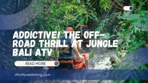 Jungle Bali ATV