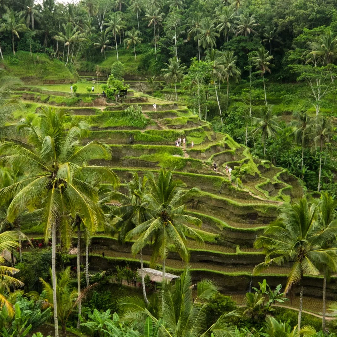 Best Bali Quad Bike Tours