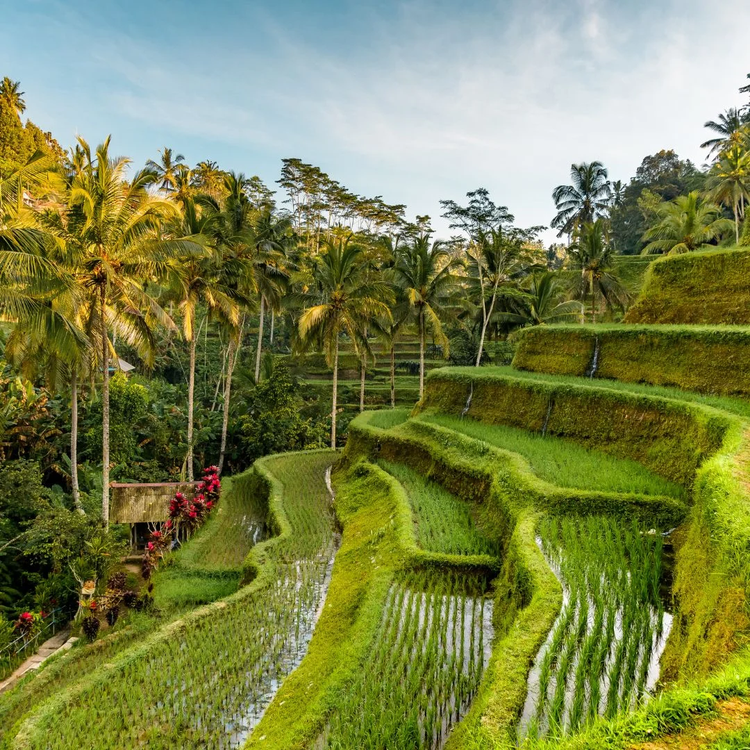 ATV Ride in Bali Cost