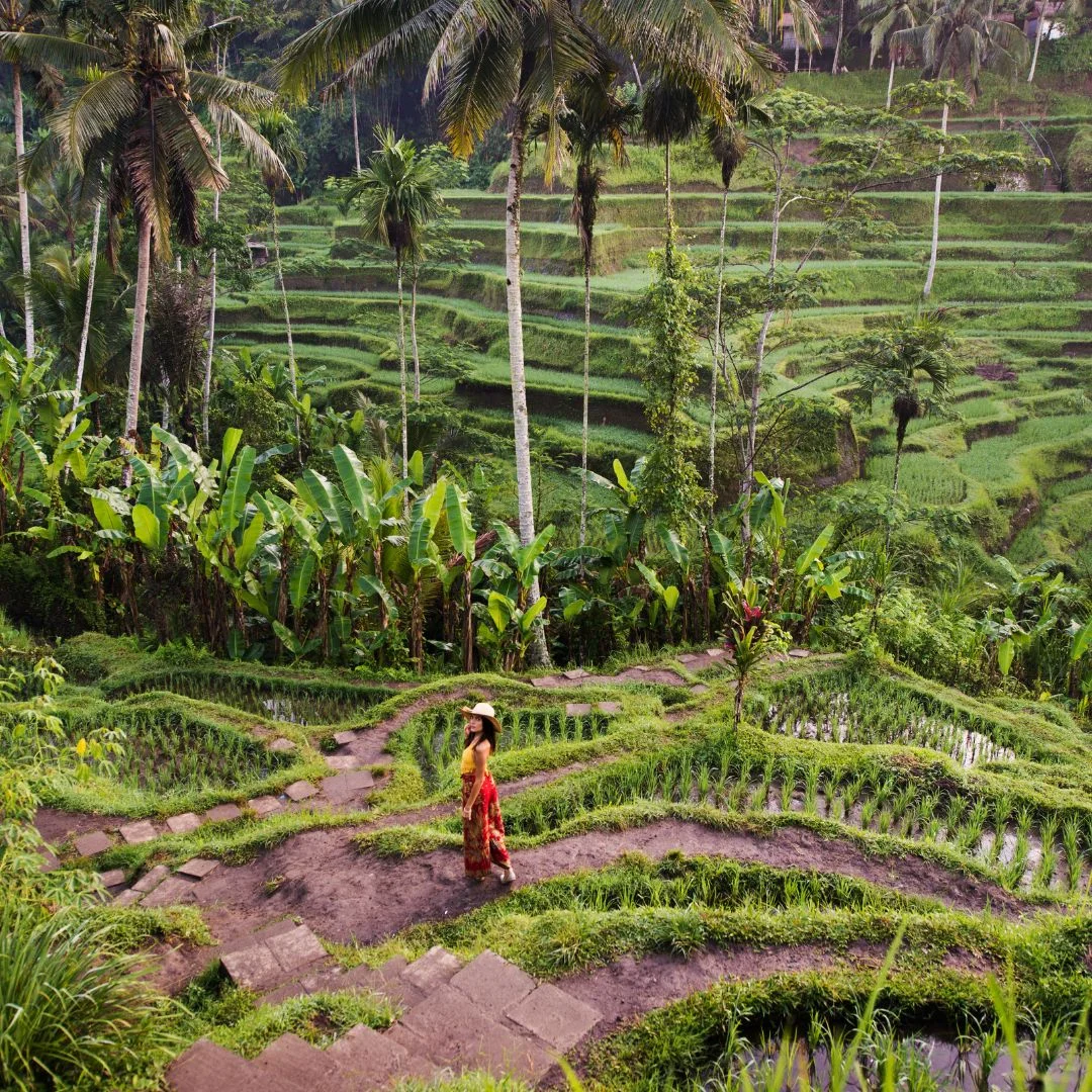 ATV Bali with Kids
