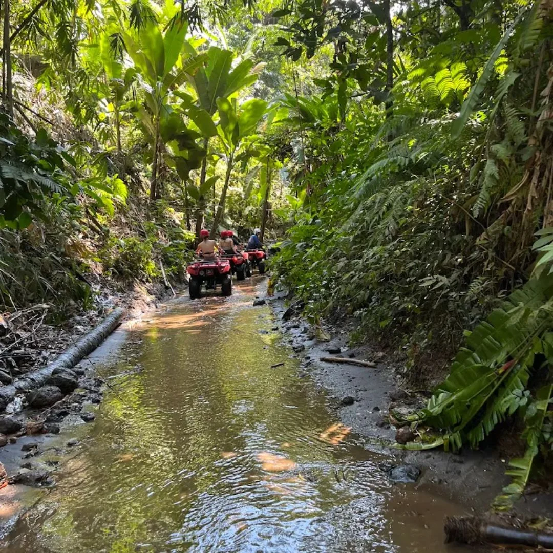 Dadi ATV Bali