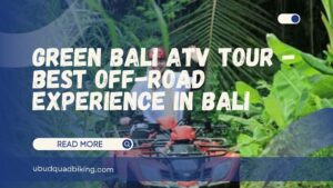 green bali atv