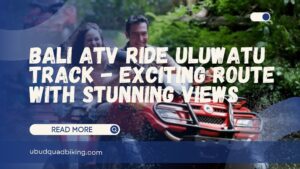 bali atv ride uluwatu track