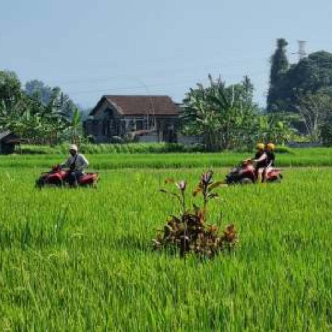 wake bali atv tour