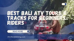 best bali atv tours