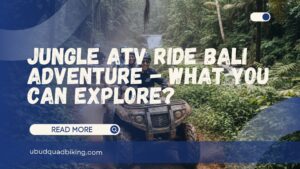 jungle atv ride bali