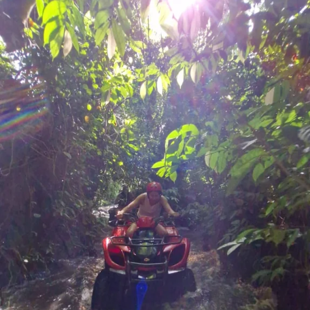 jungle atv ride bali